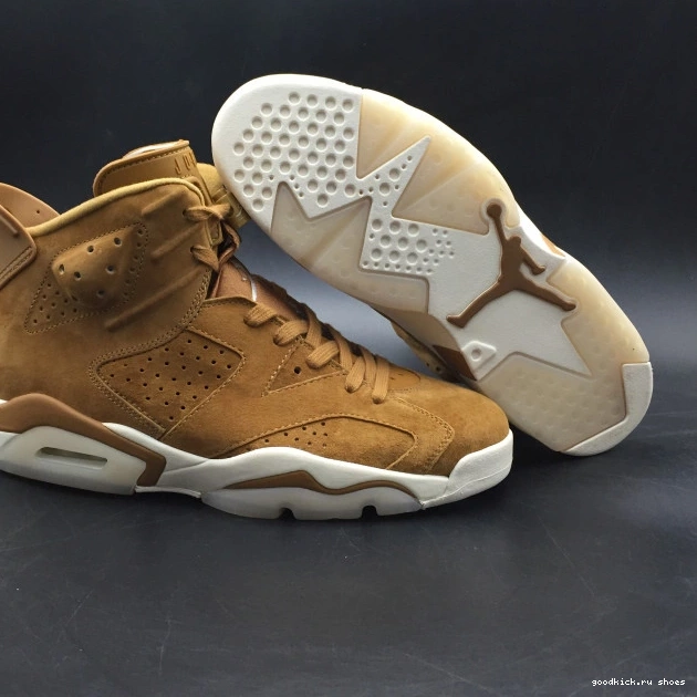 Jordan Air 6 